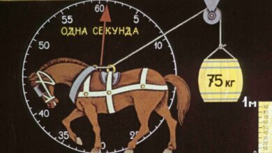 Минута отдыха Кто и когда придумал термин «лошадиная сила»? Интересное  Минута отдыха Кто и когда придумал термин «лошадиная сила»? Интересное