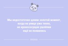 Минута отдыха Мы недостаточно ценим золотой момент… (8 фото) Анекдоты 