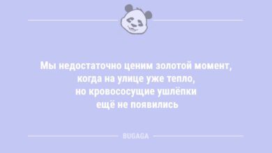 Минута отдыха Мы недостаточно ценим золотой момент… (8 фото) Анекдоты 