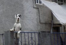 Минута отдыха Мем №1452231 Анекдоты 