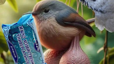 Минута отдыха Мем №1451549 Анекдоты 