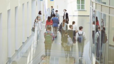 Минута отдыха Чем специализированное высшее образование отличается от магистратуры? Дети  Минута отдыха Чем специализированное высшее образование отличается от магистратуры? Дети