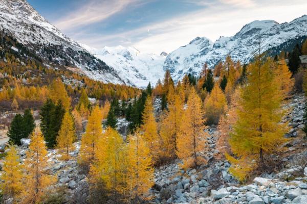 Минута отдыха Культовый этап Кубка мира выбросили из календаря. На лыжниках просто сэкономили Спорт  