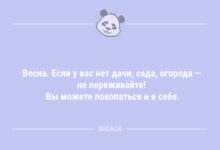 Минута отдыха Весна. Если у вас нет дачи… (7 фото) Анекдоты 