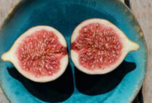 Минута отдыха Противоположности притягиваются Интересное 