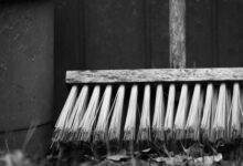 Минута отдыха Каникулы в доме образцового содержания Интересное 