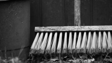 Минута отдыха Каникулы в доме образцового содержания Интересное 