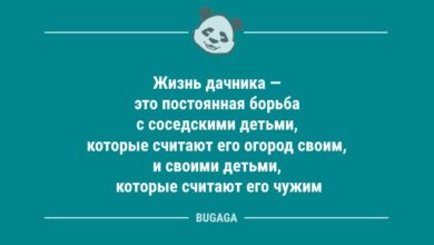 Минута отдыха Жизнь дачника — это постоянная борьба… (8 фото) Анекдоты  Минута отдыха Жизнь дачника — это постоянная борьба… (8 фото) Анекдоты