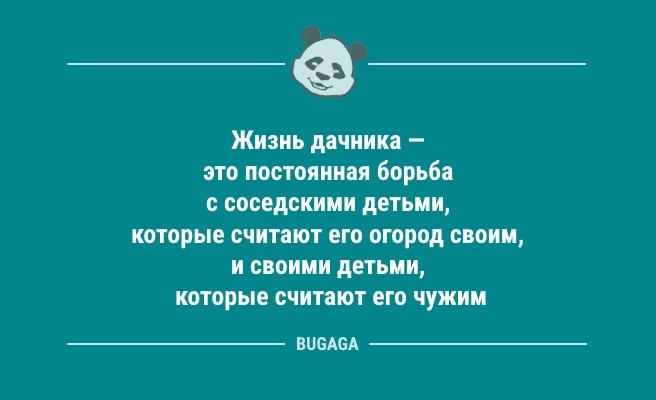 Жизнь дачника — это постоянная борьба… (8 фото)