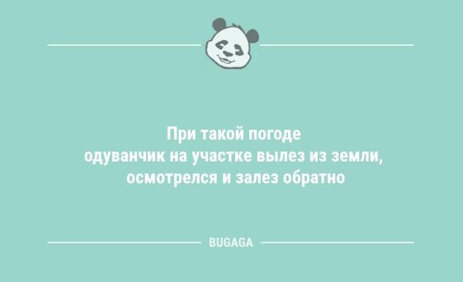 Анекдоты в пятницу: "Никогда не делайте зло назло!" (9 фото)