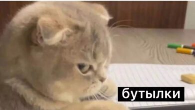 Минута отдыха Мем №1459518 Анекдоты 