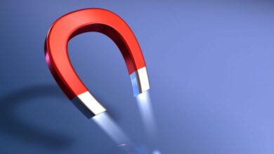 Минута отдыха Почему магнит не притягивает органические вещества? Интересное  Минута отдыха Почему магнит не притягивает органические вещества? Интересное