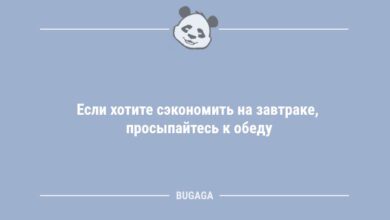 Минута отдыха Если хотите сэкономить на завтраке… (8 фото) Анекдоты 