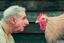 Минута отдыха Мем №1457238 Анекдоты 