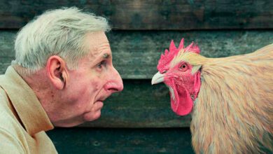 Минута отдыха Мем №1457238 Анекдоты 