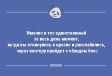 Минута отдыха Именно в тот единственный за весь день момент… (10 фото) Анекдоты 