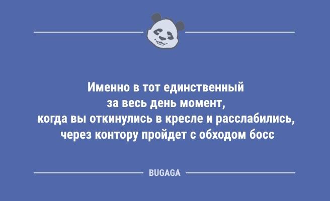 Именно в тот единственный за весь день момент… (10 фото)