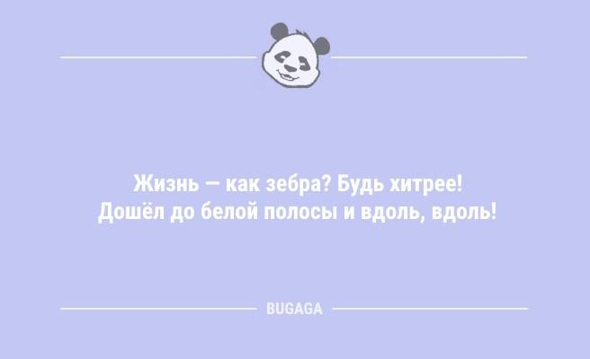 Анекдоты для настроения: "Ленка, ты сожрала все мои "киндеры!" (8 фото)