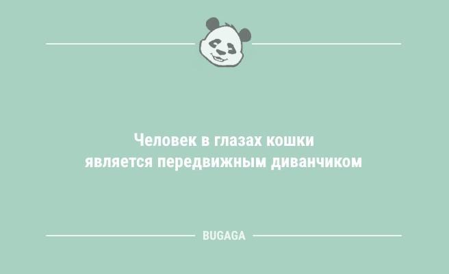 Пятничные анекдоты: "Женщина сама не знает, чего хочет…" (9 фото)