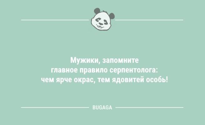 Лето, которое начинается с пятницы на субботу… (9 фото)