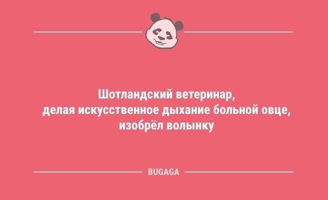 Лето, которое начинается с пятницы на субботу… (9 фото)