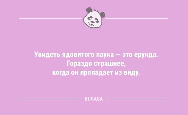 "Соседка каждый день приходит в пеньюаре за солью…" (9 фото)