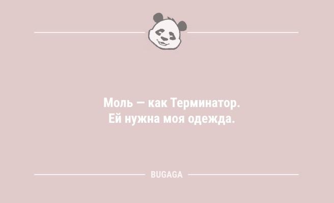 "Соседка каждый день приходит в пеньюаре за солью…" (9 фото)