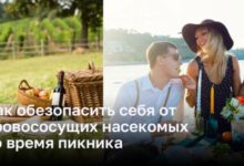 Минута отдыха Как защитить себя от кровососущих насекомых во время отдыха на природе Интересное 