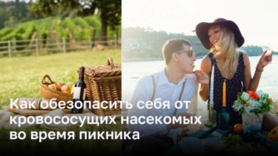 Минута отдыха Как защитить себя от кровососущих насекомых во время отдыха на природе Интересное  Минута отдыха Как защитить себя от кровососущих насекомых во время отдыха на природе Интересное