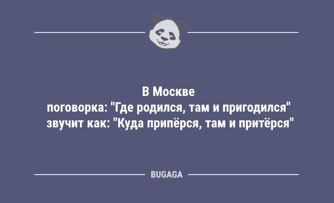 Жена уехала в отпуск… (9 фото)