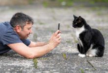 Минута отдыха Мем №1469342 Анекдоты 