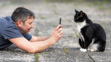 Минута отдыха Мем №1469342 Анекдоты 