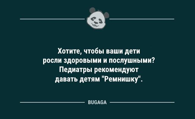 Жена уехала в отпуск… (9 фото)