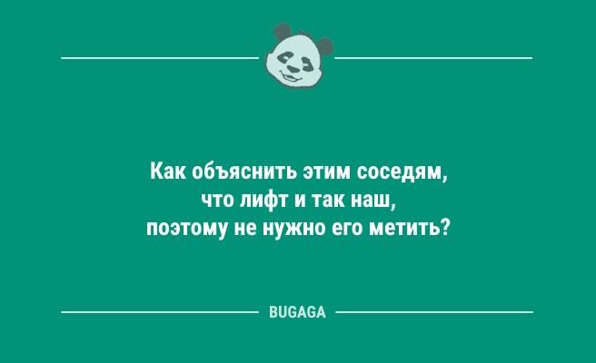 Анекдоты для пятничного настроения: "Мяч ещё летел в окно директора…" (9 фото)