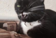 Минута отдыха Мем №1470149 Анекдоты 