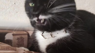 Минута отдыха Мем №1470149 Анекдоты 