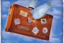 Минута отдыха Статистика туризма: россияне выбирают север Интересное 