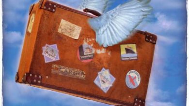 Минута отдыха Статистика туризма: россияне выбирают север Интересное  Минута отдыха Статистика туризма: россияне выбирают север Интересное