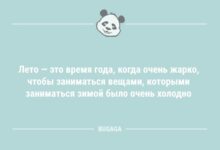 Минута отдыха Анекдоты в середине недели: "Лето — это время года, когда…" (11 фото) Анекдоты 
