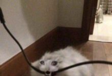 Минута отдыха Мем №1472976 Анекдоты 