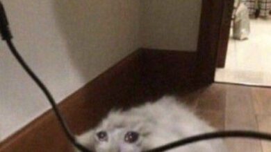 Минута отдыха Мем №1472976 Анекдоты 