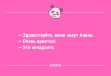 Минута отдыха Короткие анекдоты: "Здравствуйте, меня зовут Алина…" (9 фото) Анекдоты 