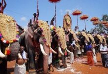 Минута отдыха Сюда Вам лучше не соваться Интересное 