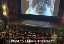 Минута отдыха Мем №1472289 Анекдоты 