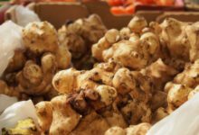 Минута отдыха Свидание с выживальщиком Интересное 