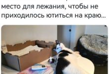 Минута отдыха Мем №1473927 Анекдоты 
