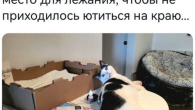 Минута отдыха Мем №1473927 Анекдоты 