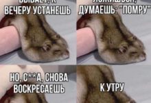 Минута отдыха Мем №1474722 Анекдоты 