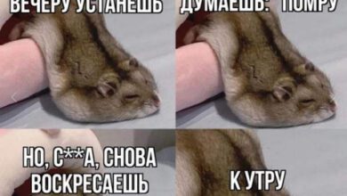 Минута отдыха Мем №1474722 Анекдоты 