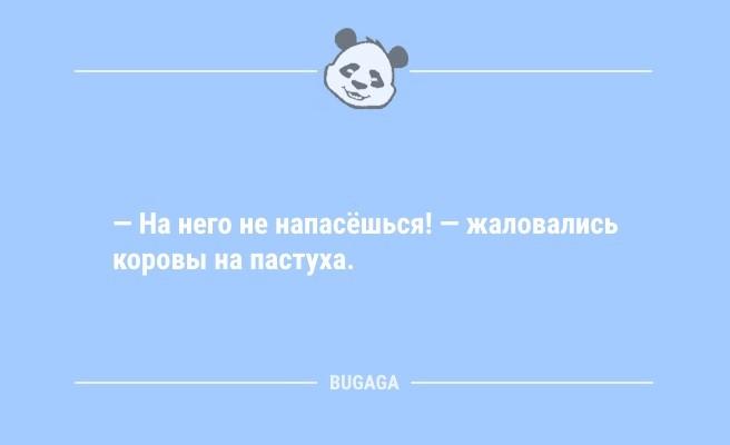 Анекдоты на Бугаге: "Если я долго не беру трубку…" (9 фото)